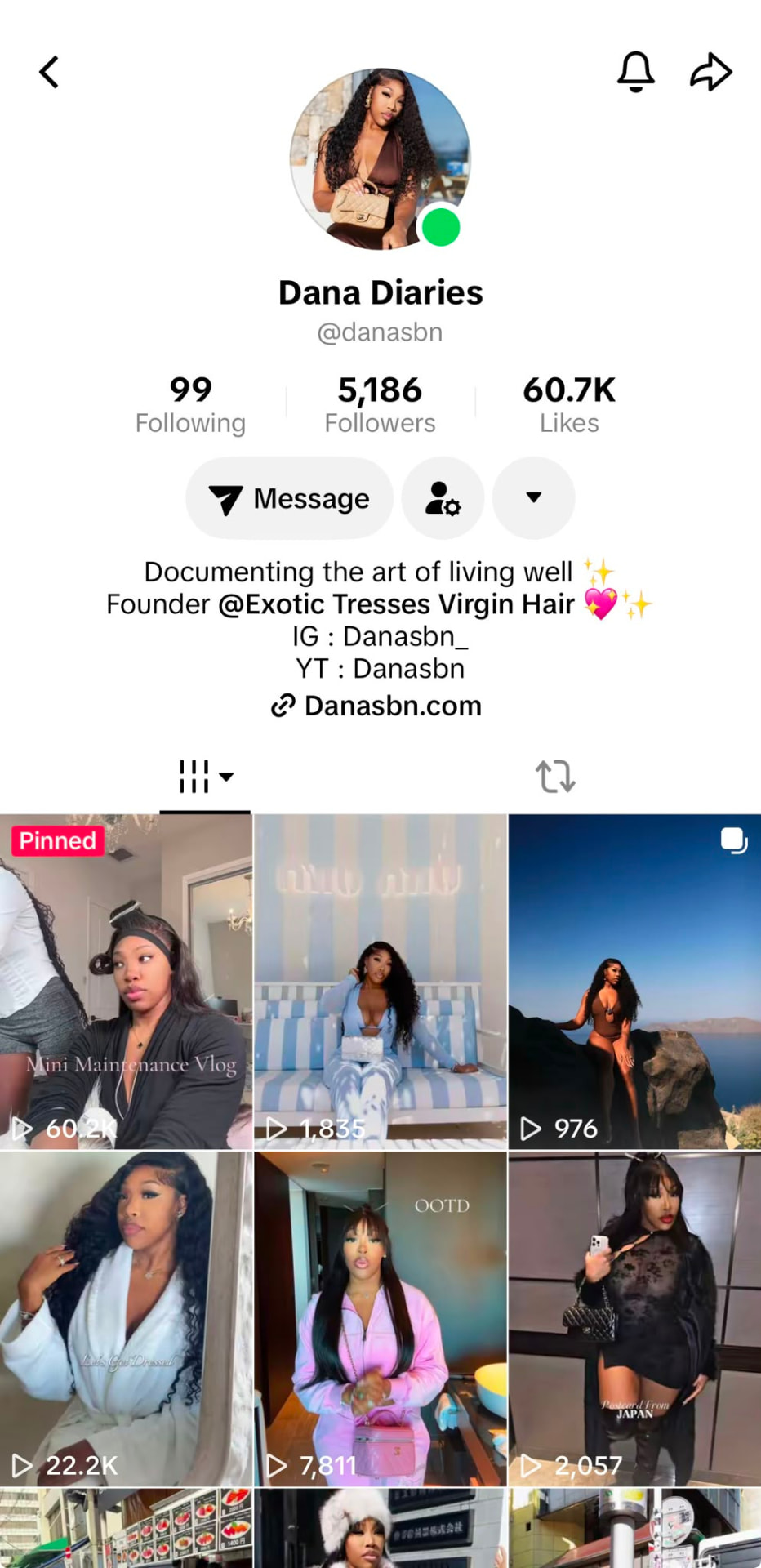 TikTok profile preview