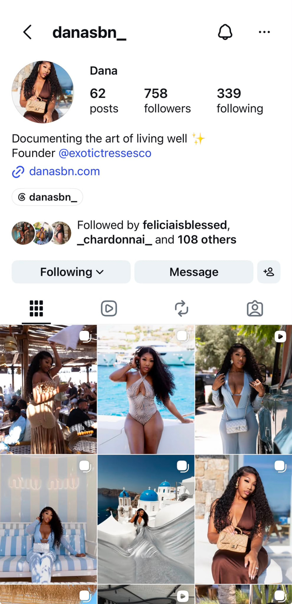 Instagram profile preview